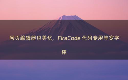 网页编辑器也美化，FiraCode 代码专用等宽字体