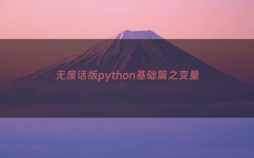 无废话版python基础篇之变量