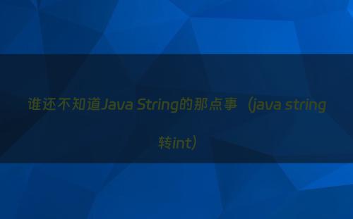 谁还不知道Java String的那点事（java string转int）