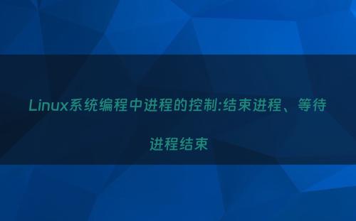 Linux系统编程中进程的控制:结束进程、等待进程结束