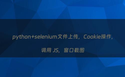 python+selenium文件上传，Cookie操作，调用 JS，窗口截图