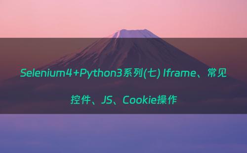 Selenium4+Python3系列(七) Iframe、常见控件、JS、Cookie操作