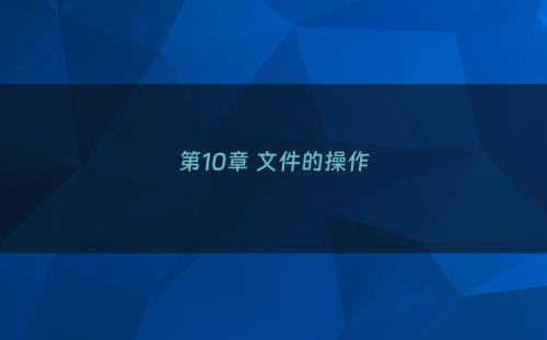 第10章 文件的操作