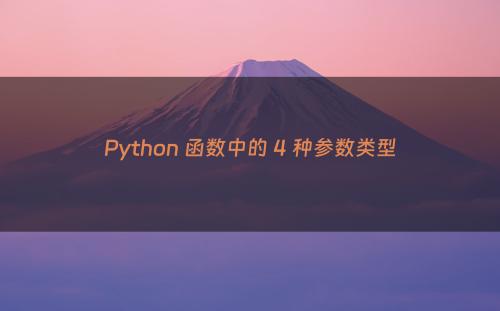 Python 函数中的 4 种参数类型