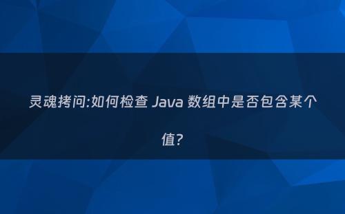 灵魂拷问:如何检查 Java 数组中是否包含某个值?