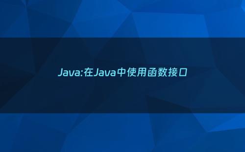 Java:在Java中使用函数接口