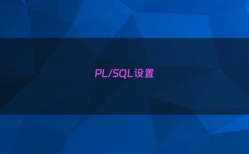 PL/SQL设置