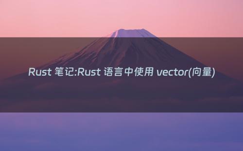 Rust 笔记:Rust 语言中使用 vector(向量)