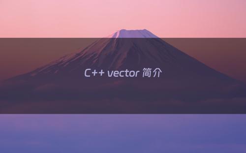 C++ vector 简介