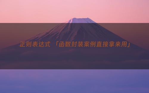 正则表达式 「函数封装案例直接拿来用」