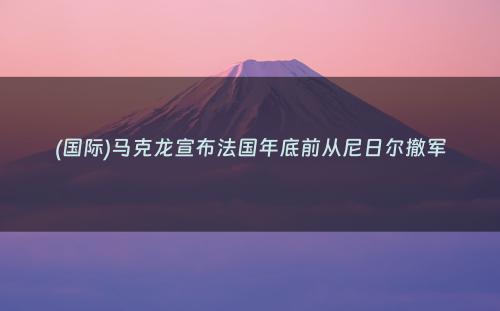 (国际)马克龙宣布法国年底前从尼日尔撤军