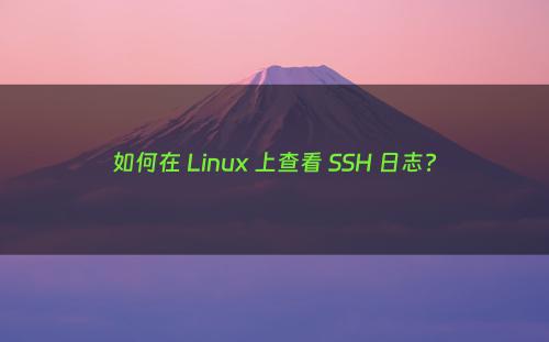 如何在 Linux 上查看 SSH 日志?