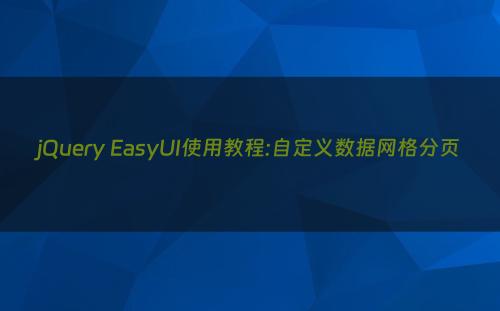 jQuery EasyUI使用教程:自定义数据网格分页