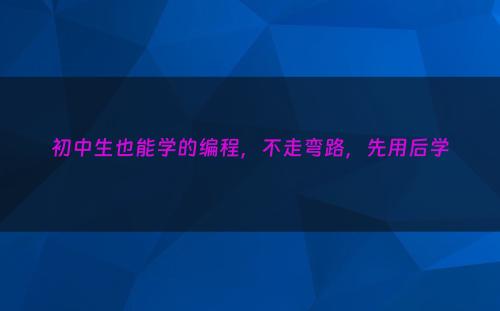 初中生也能学的编程，不走弯路，先用后学