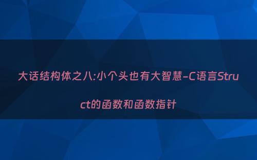 大话结构体之八:小个头也有大智慧-C语言Struct的函数和函数指针