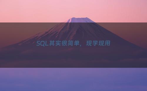 SQL其实很简单，现学现用