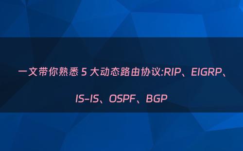 一文带你熟悉 5 大动态路由协议:RIP、EIGRP、IS-IS、OSPF、BGP