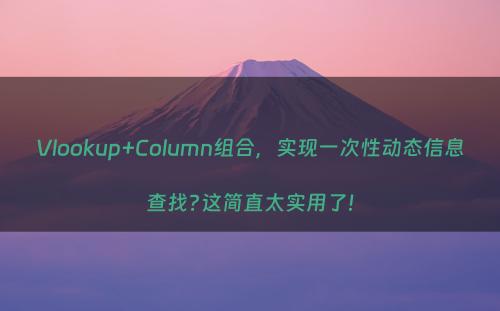 Vlookup+Column组合，实现一次性动态信息查找?这简直太实用了!