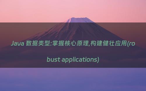 Java 数据类型:掌握核心原理,构建健壮应用(robust applications)