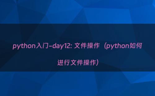 python入门-day12: 文件操作（python如何进行文件操作）