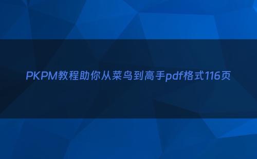 PKPM教程助你从菜鸟到高手pdf格式116页