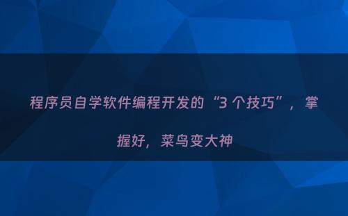 程序员自学软件编程开发的“3 个技巧”，掌握好，菜鸟变大神