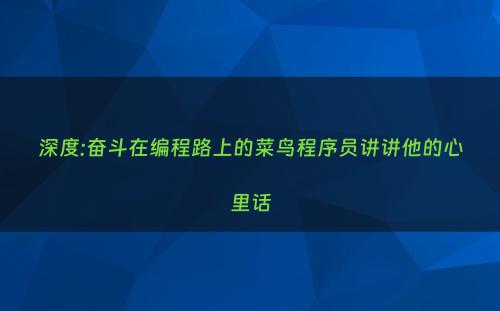 深度:奋斗在编程路上的菜鸟程序员讲讲他的心里话