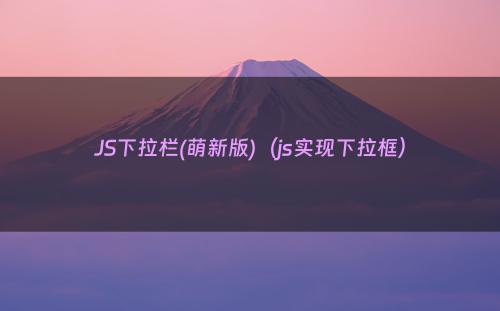 JS下拉栏(萌新版)（js实现下拉框）