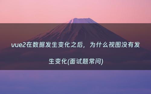 vue2在数据发生变化之后，为什么视图没有发生变化(面试题常问)