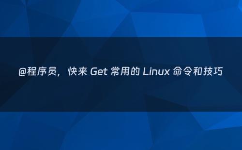 @程序员，快来 Get 常用的 Linux 命令和技巧